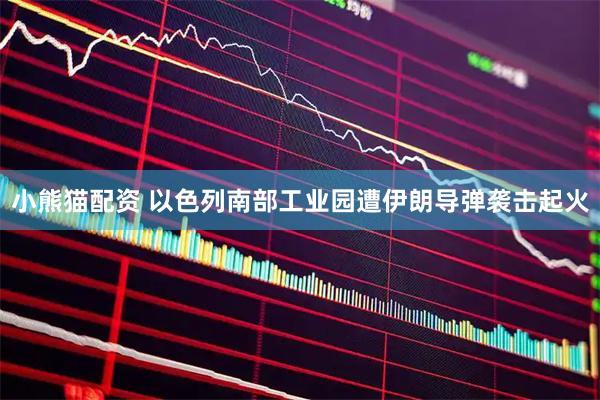 小熊猫配资 以色列南部工业园遭伊朗导弹袭击起火