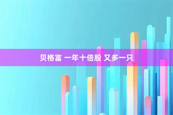 贝格富 一年十倍股 又多一只